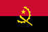 Panel Rapid TGM în Angola