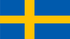 Studii TGM pentru a câștiga bani în Suedia